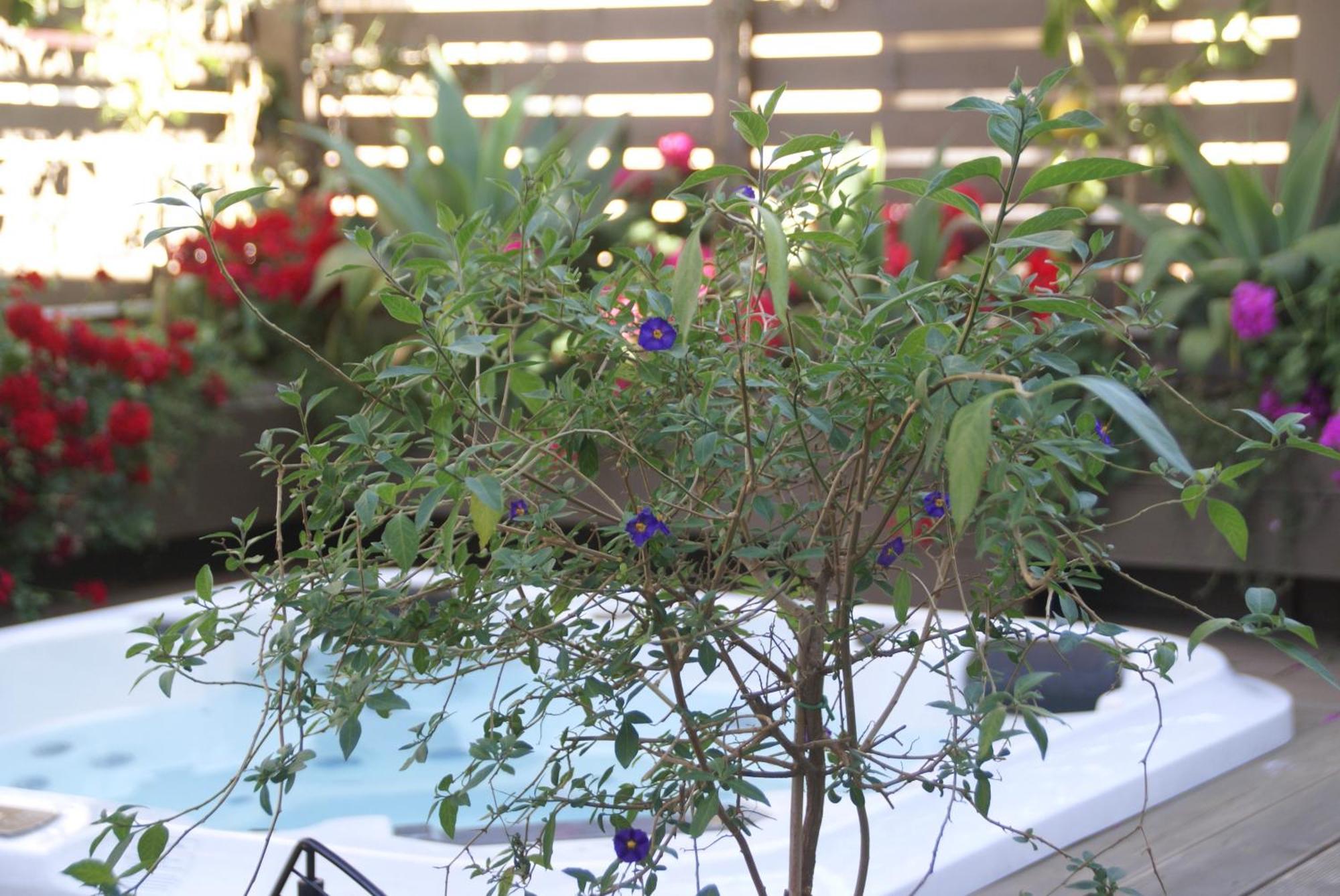 Fra Le Righe Bed & Breakfast Catania Luaran gambar